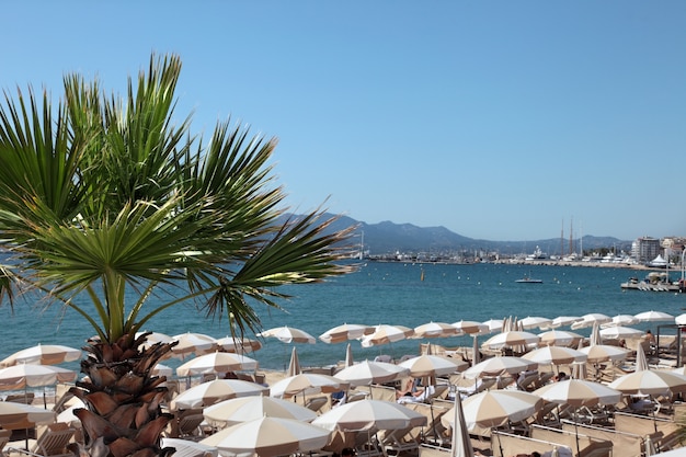 Scena di fronte al mare a Cannes Francia