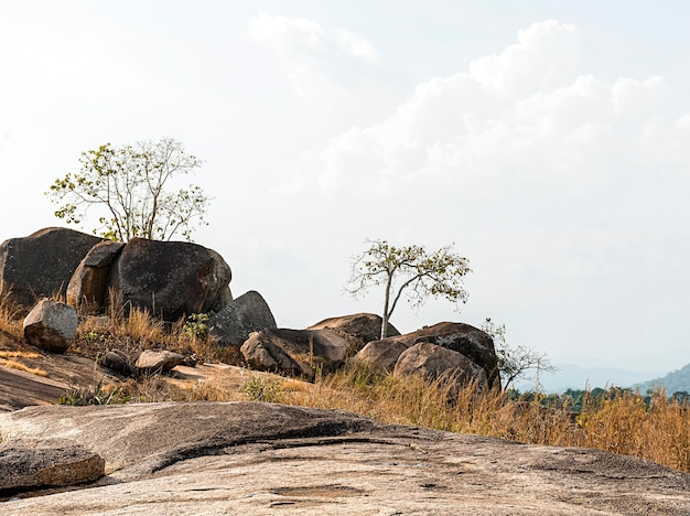 Scenario della natura africana con cielo sereno e rocce
