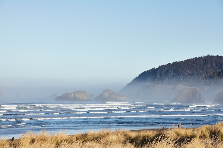 Foto gratuito scenario di erba spiaggia al mattino a cannon beach, oregon