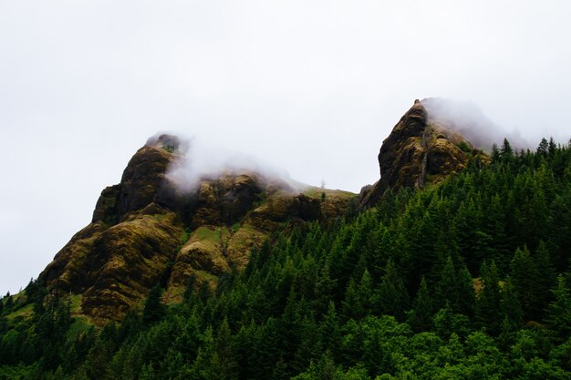 Scenario di fumo che esce da una montagna accanto a una foresta piena di alberi verdi