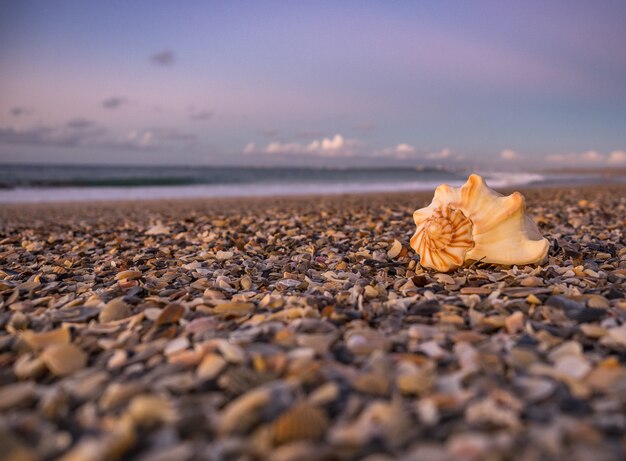 Scenario di un tramonto mozzafiato sulla spiaggia della Florida orientale
