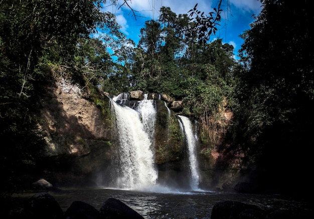 Scenario naturale bella foresta cascata all&#39;aperto