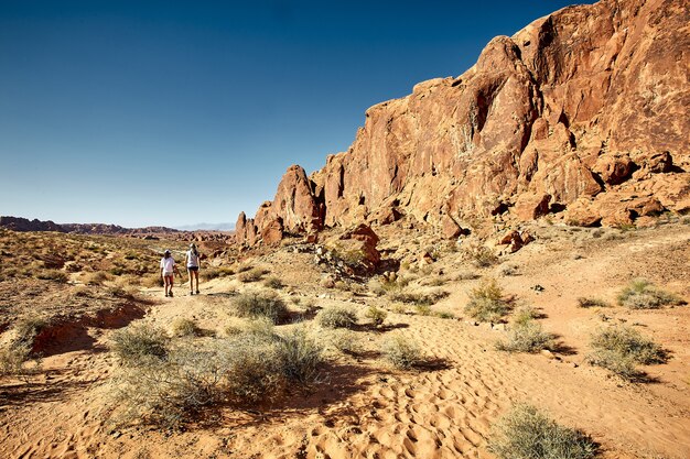 Scenario soleggiato del Parco della Valle del Fuoco in Nevada, USA