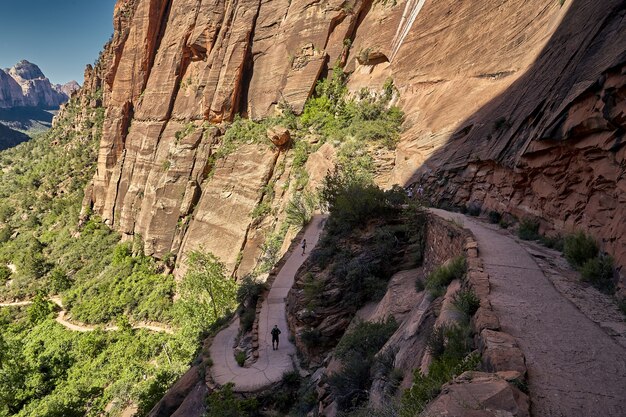 Scenario soleggiato del Parco Nazionale di Zion situato nello Utah, USA