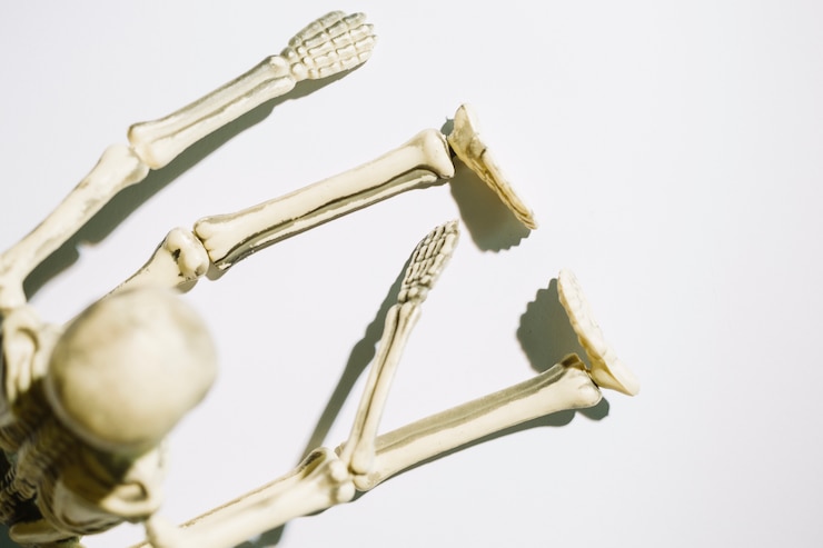 Foto gratuito scheletro seduto con le gambe dritte