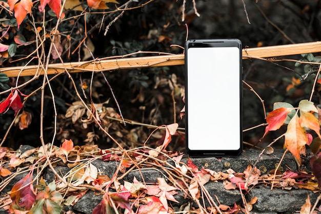 Schermo bianco con il cellulare vicino le foglie d&#39;autunno