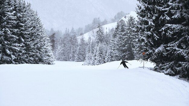 Sciatore che attraversa le piste della stazione sciistica Alpe d Huez, fiancheggiata da alberi, nelle Alpi francesi