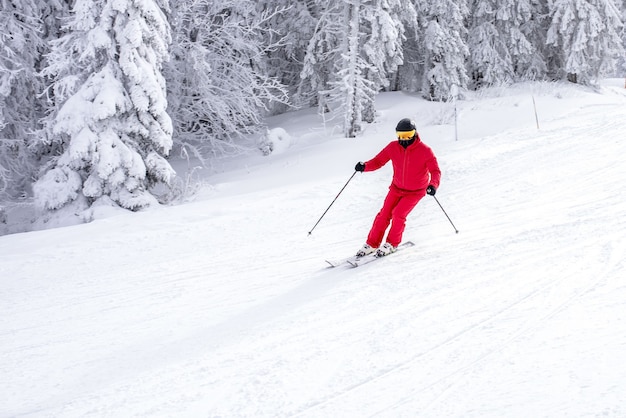 Sciatore in costume rosso che scia lungo il pendio vicino agli alberi