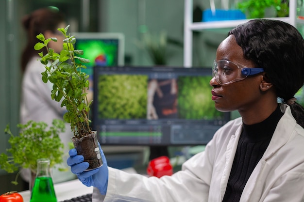 Scienziato che guarda un alberello verde per un esperimento medico