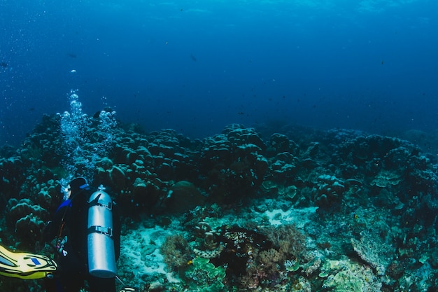 Scuba diver esplora una barriera corallina