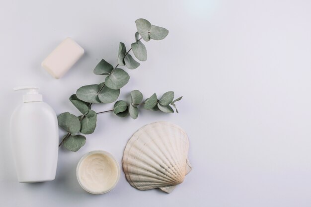 Seashell e ramoscello vicino ai cosmetici