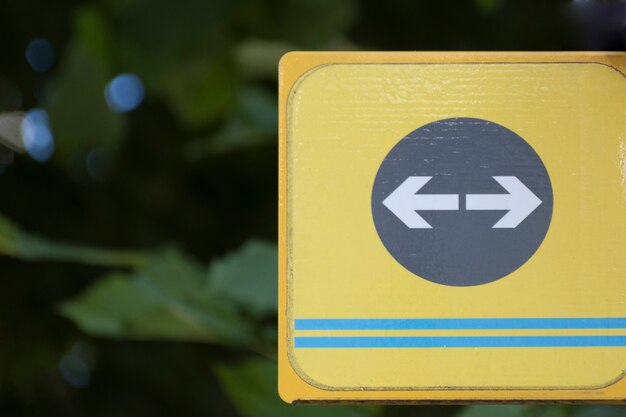 Segno della freccia di traffico con le foglie vaghe