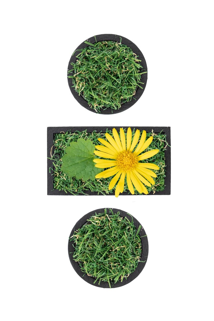 Foto gratuito segno di divisione fatto di erba verde e fiore isolato