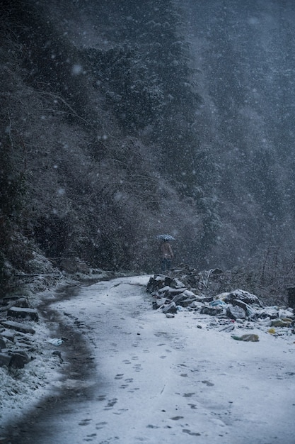 Sentiero invernale