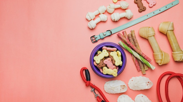 Set di cibo per cani e colletto