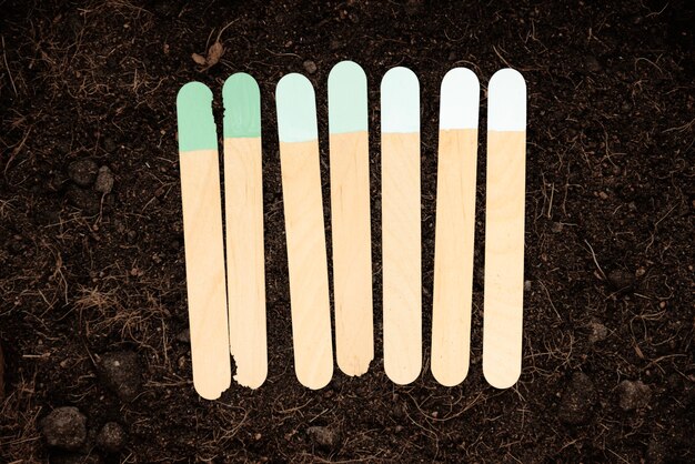 Set di pennarelli da giardino in legno per ghiaccioli