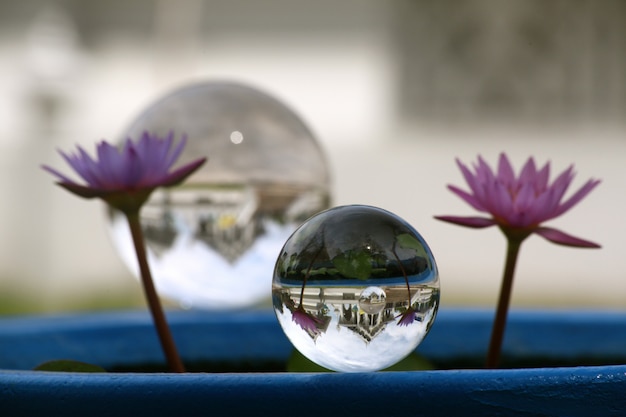 Sfera di cristallo con due fiori viola accanto