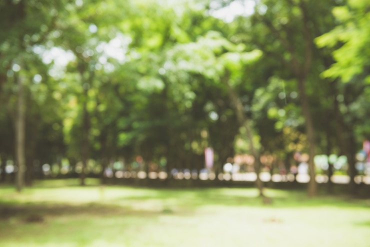 Foto gratuito sfocatura natura parco verde con bokeh luce del sole sfondo astratto. copia lo spazio dell'avventura di viaggio e del concetto di ambiente. stile di colore del filtro tono vintage.