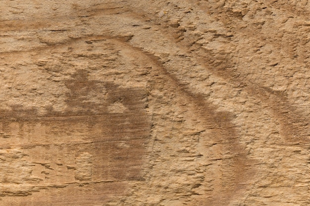 Sfondio decorativo della consistenza del legno