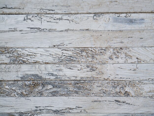 Sfondo bianco superficie in legno morbido