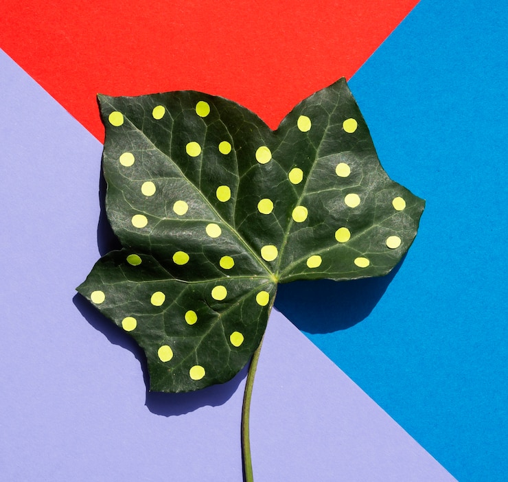 Foto gratuito sfondo colorato con foglia verde dipinta
