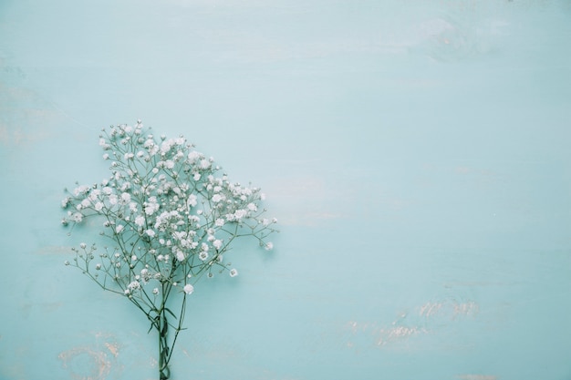 Sfondo con fiori di campo a sinistra