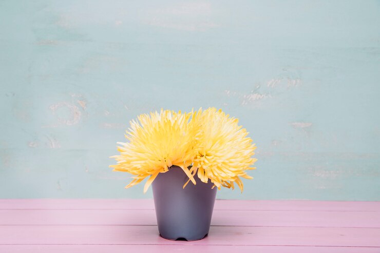 Foto gratuito sfondo con fiori gialli in vaso