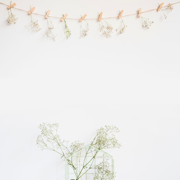 Sfondo decorativo con fiori di campo