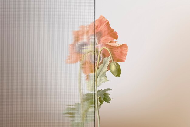 Sfondo della natura con fiore dietro un vetro modellato