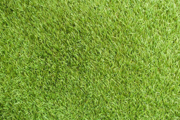 Foto gratuito sfondo di copertura fresca bella erba di stadio