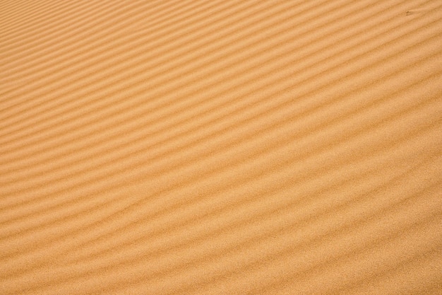 Sfondo di sabbia ondulata per disegni o fondali estivi Sabbia di sfondo con struttura in arenaria naturale sulla spiaggia come sfondo