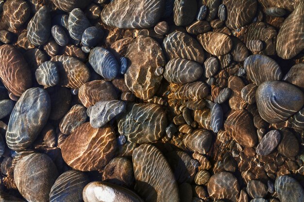 Sfondo di vita marina con rocce sottomarine e raggi di luce solare fotografia naturalistica