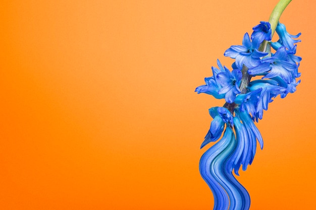 Sfondo estetico carta da parati arancione, disegno astratto trippy di fiori blu