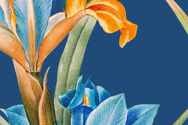 Sfondo floreale primaverile con illustrazione dell'iride, remixato da opere d'arte di pubblico dominio