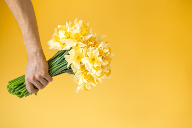 Sfondo giallo e mani maschili con un bouquet di narcisi gialli. Il concetto di saluti e festa della donna.