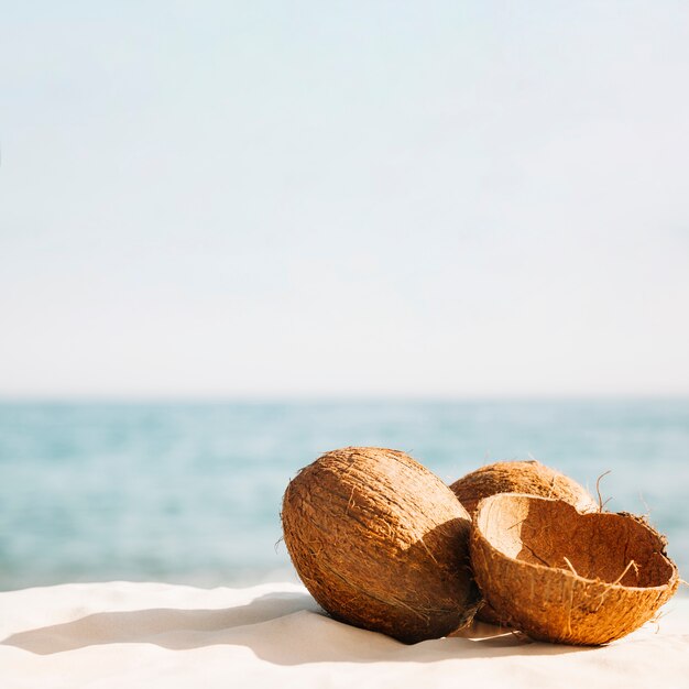 Sfondo spiaggia con noci di cocco