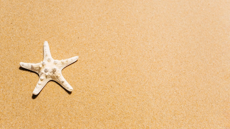 Foto gratuito sfondo spiaggia con stelle marine e copyspace sulla destra