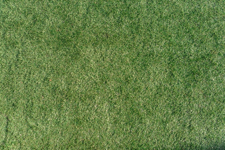 Foto gratuito sfondo verde erba