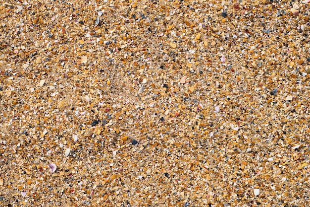 Shell Beach conchiglie e ciottoli rotti su una spiaggia sabbiosa Vista dall'alto sfondo nautico estivo o banner pubblicitario