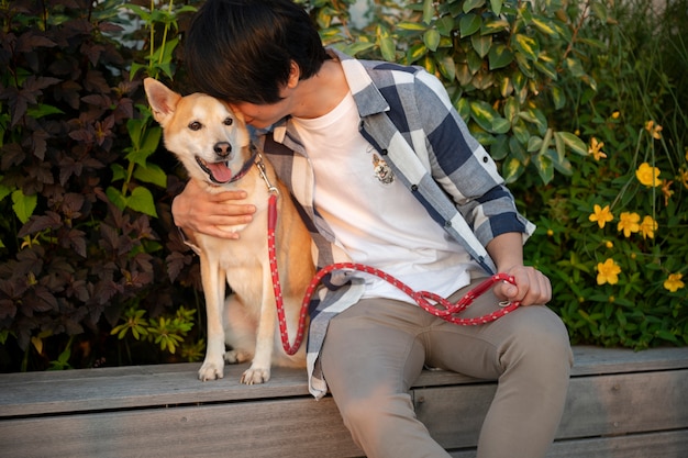 Shiba inu cane che fa una passeggiata