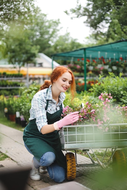 Signora carina in grembiule e guanti rosa che guarda felicemente i fiori nel carrello da giardino mentre lavora in serra