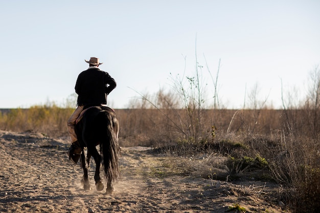 Siluetta del cowboy con il cavallo contro la luce calda