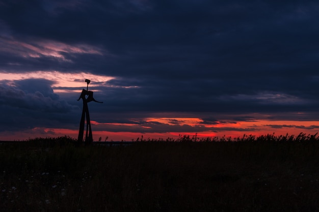 Siluetta di una statua di metallo in un campo erboso sotto il cielo nuvoloso mozzafiato durante il tramonto