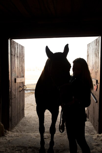 Siluetta elegante del cavallo contro il cielo dell'alba