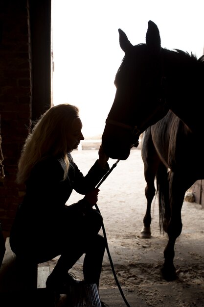 Siluetta elegante del cavallo contro il cielo dell'alba