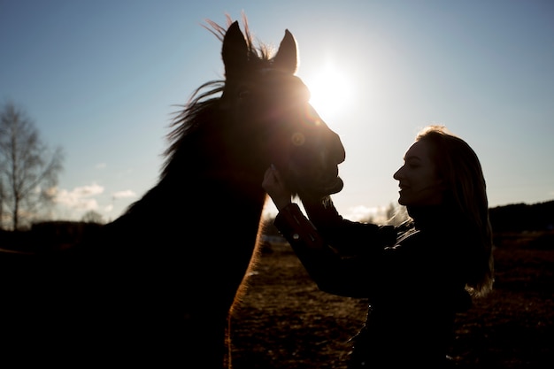 Siluetta elegante del cavallo contro il cielo dell'alba