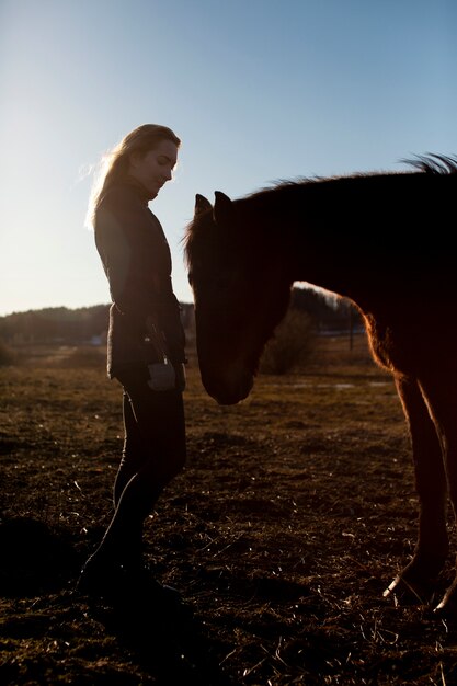 Siluetta elegante del cavallo contro il cielo dell'alba