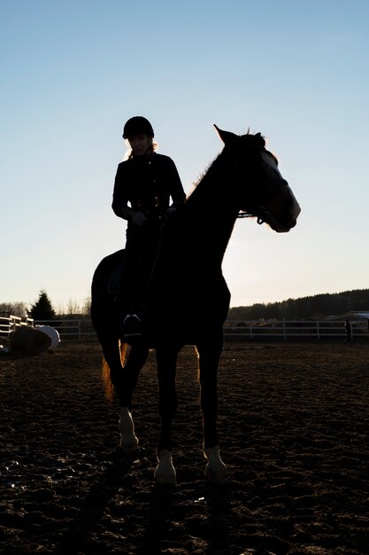 Siluetta elegante del cavallo contro il cielo dell'alba