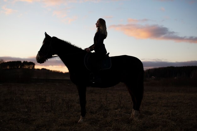 Siluetta elegante del cavallo contro il cielo dell'alba