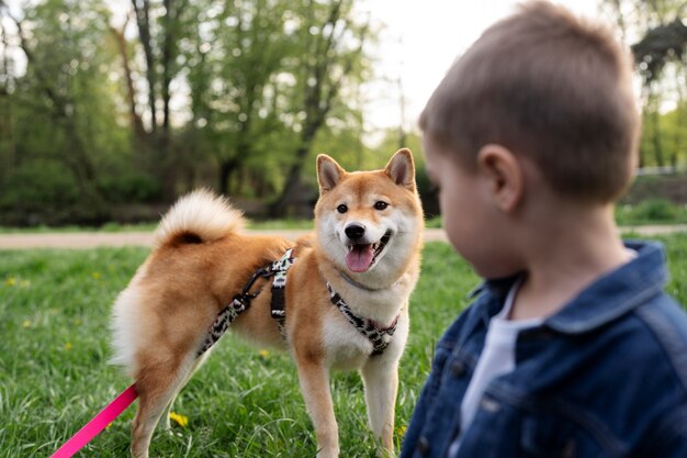 Simpatico animale domestico shiba inu con la famiglia